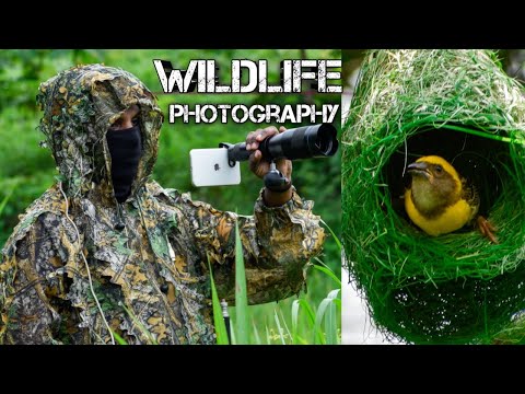 apexel 60x zoom lens video test || super HD Mobile Telephoto lens