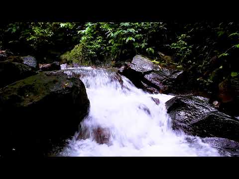 Mountain stream water flowing softly to guide you into peaceful sleep