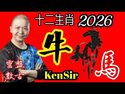 牛🐮㊙️🦄💖【馬年十二生肖】｜2026年｜生肖牛｜運程｜為生命創造價值｜原廠設定 | 掌握未來 | #八字 #KenSir #教你睇八字 #四柱推命 #astrology 