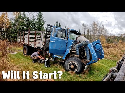 Was This Old Diesel Truck A Good Deal?