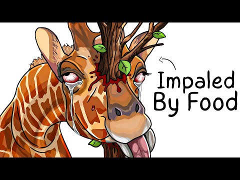 Why it Sucks To Be Born As a Giraffe