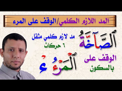 شرح المد اللازم الكلمي والوقف على الهمزة كلمة (المرء) سورة عبس