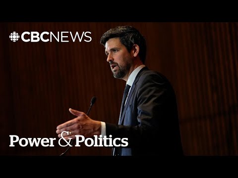 Liberal government tables bill to protect children, gender-based violence victims | Power & Politics