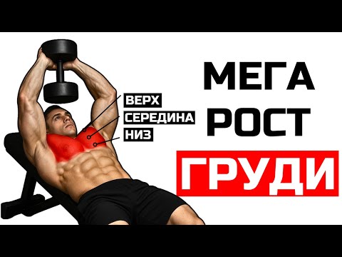 ВСЕГО 6 УПРАЖНЕНИЙ ДЛЯ ИДЕАЛЬНОЙ ГРУДИ (НАУЧНО ОБОСНОВАННАЯ ТРЕНИРОВКА)