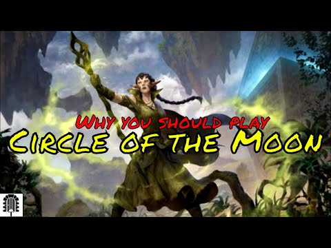 Why You Should Play Circle of the Moon Druid