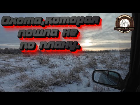 Охота, которая пошла не по плану