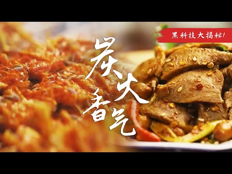 🍗沈阳必吃鸡架🔥尝试焦炭烧烤的火爆美食！ | 腾讯视频 - 纪录片