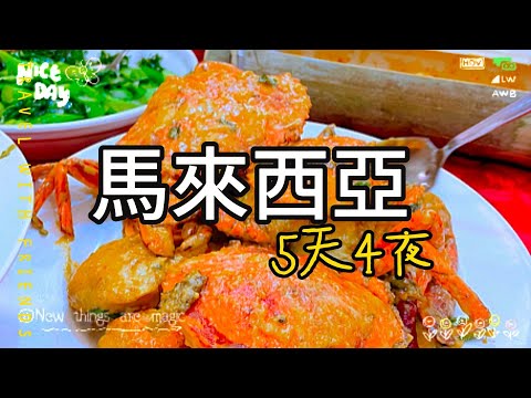 馬來西亞之旅｜大紅花海上Villa｜黃金棕梠樹渡假村｜無邊際泳池｜黑風洞｜咖哩麵包雞｜雙子星大樓｜粉紅清真寺｜Malaysia Trip