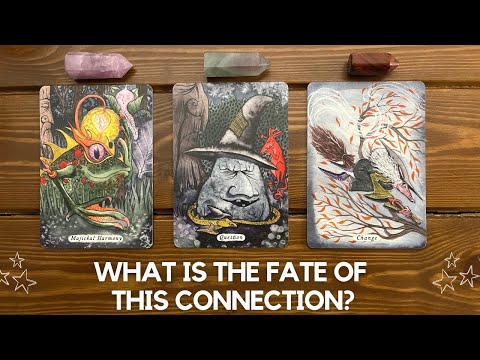 What is the Fate of this Connection? ✨👩‍🔬👨‍🎤✨ | Timeless Reading