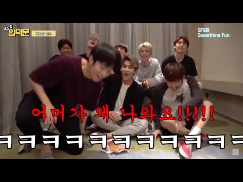 [SF9 입덕문]이 중에 정상은 없어 2탄 (ft.평범한 게 없는 도른자들)