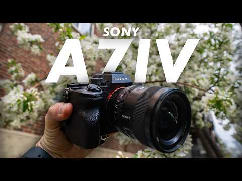 100,000 Shots Later - Sony A7IV