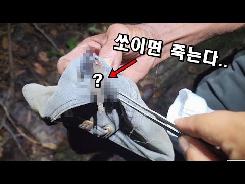 아마존7편- 쏘이면 죽음이라는 이것을 잡아 먹을줄은 몰랐습니다..