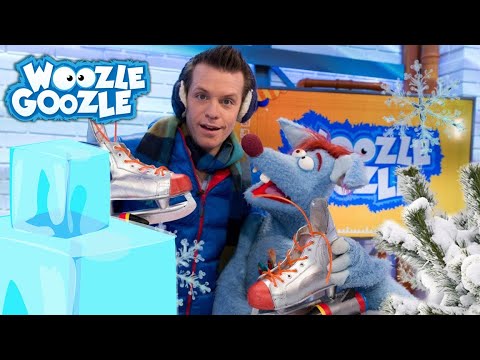 Warum ist es an Nord- und Südpol immer kalt? l GANZE FOLGE