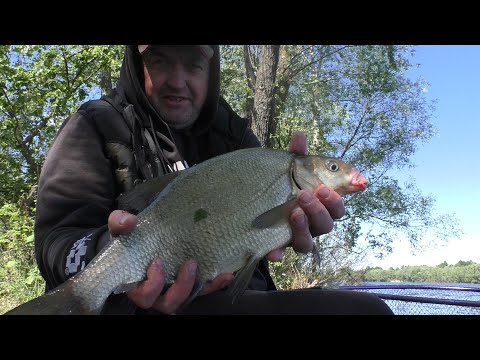 Травневий Лящ на Десні.Як та на що.