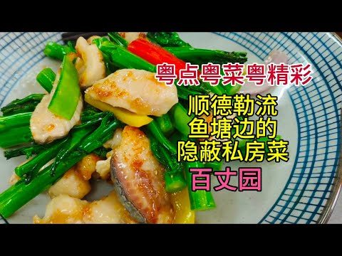 粤点粤菜粤精彩，顺德勒流，鱼塘边的隐蔽私房菜，百丈园，粤语中字幕2025-5-14