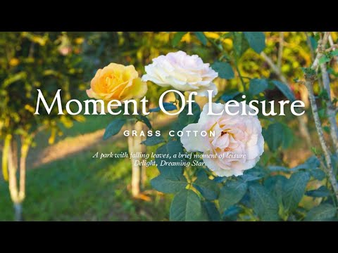 낙엽이 흩날리는 공원, 잠시 머무는 여유 l GRASS COTTON+