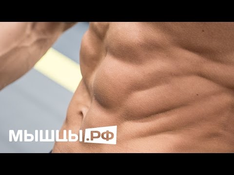 Abs at home in 10 minutes a day! Workout program