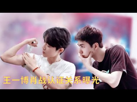 Wang Yibo and Xiao Zhan’s certified relationship exposed