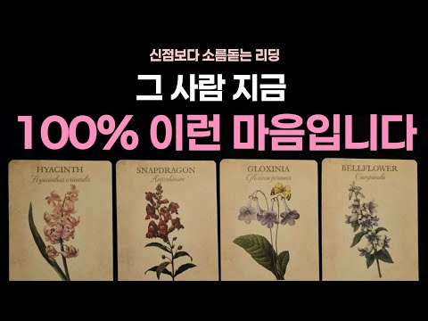 [타로] 그 사람 지금 100%이런 마음입니다🌹​