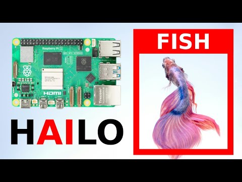 Computer vision on edge | Raspberry Pi 5 AI Kit | Hailo 8L | Object detection