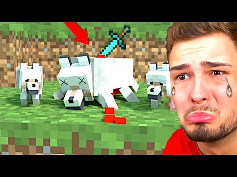 Die TOP 5 TRAURIGSTEN MINECRAFT ANIMATION!