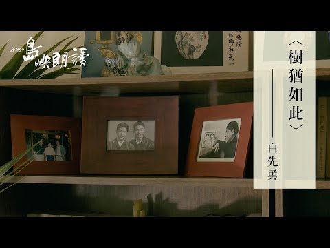 白先勇〈樹猶如此〉