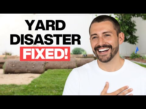 How a Backyard Makeover Changed This Family’s Life