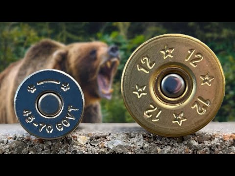45-70 vs 12 Gauge Slug: Insane Difference