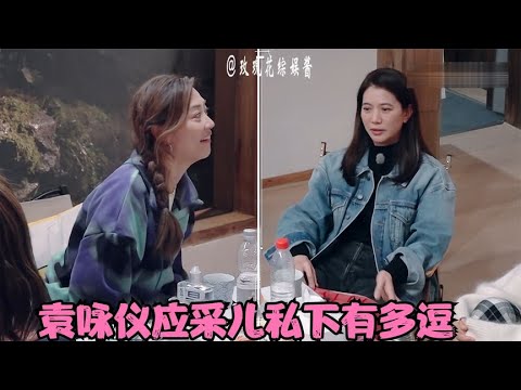 袁咏仪应采儿有多逗？俩人一言不合就互掐斗嘴，蔡少芬：管不住！