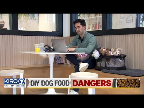 DIY dog food dangers - what you need to know