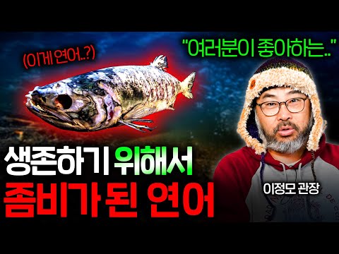 Why Salmon Can't Stop Even When Blinded and Torn (Zombie Fish...) | Science Week EP.48