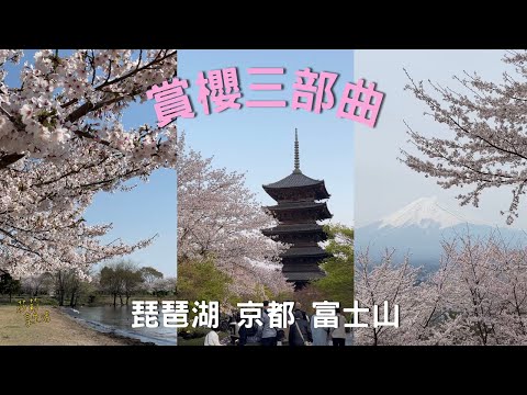 賞櫻3部曲：琵琶湖、京都、富士山，旅遊日期：2025.04.11～18