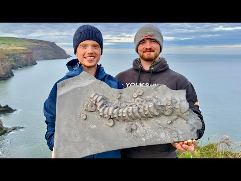2-Day Fossil Hunting: What We Found on the Coast!