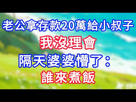 【爽文】老公拿存款20萬給小叔子，我沒理會，隔天婆婆懵了：誰來煮飯#為人處世#生活經驗#情感故事#故事#小說#戀愛#情感#婚姻