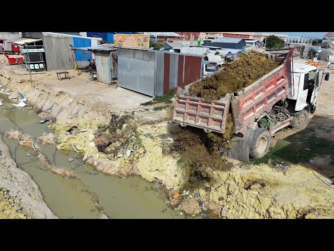 Started Landfill A New Project!DumpTruck Pouring Delete Canal Develop,BySkill Dozer D20 Pushing Soil