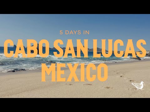 Destination Wedding Guests in Cabo San Lucas, Mexico