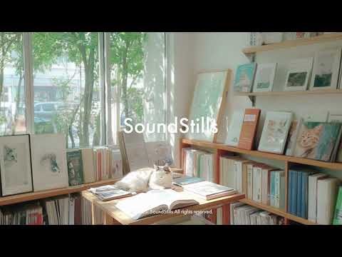 Cat Bookstore l Playlist for slow reading days