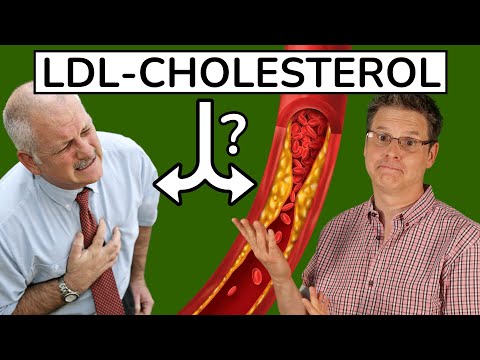 Blood Lipids and Cardiovascular Risk: Everything You Need to Know