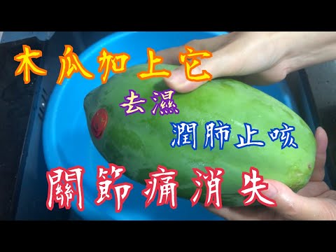 木瓜加一物💯勝過食鈣片🥰關節痛消失👍🏻潤肺去濕湯🤩