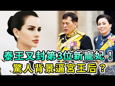 The Thai royal family has sealed the third new concubine! She forced the queen to accept her with h