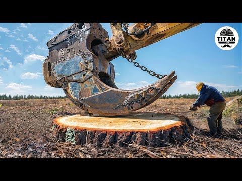 Extreme Dangerous Monster Stump Removal Excavator | Amazing Fastest Wood Chipper Machines #37