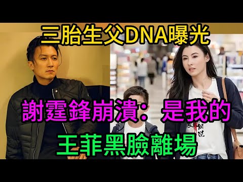 ⚠️ DNA報告曝光！張柏芝深夜崩潰：三胎生父是謝霆鋒！王菲演唱會黑臉離席，謝賢認孫捶胸痛哭！| 20年前的雨夜謊言徹底拆穿！謝霆鋒#張柏芝#王菲#三胎生父#DNA#謝賢#世紀複合#演唱會#錄音洩露