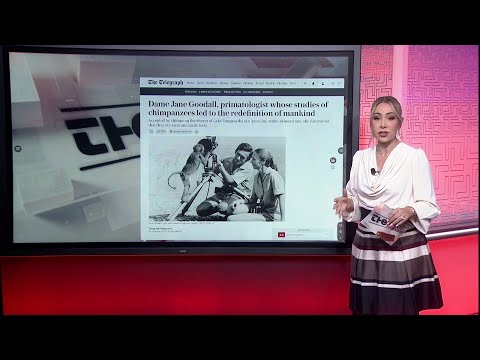 Views: Israel’s Interception of Gaza Flotilla and the Detention of Activists | The Dailies