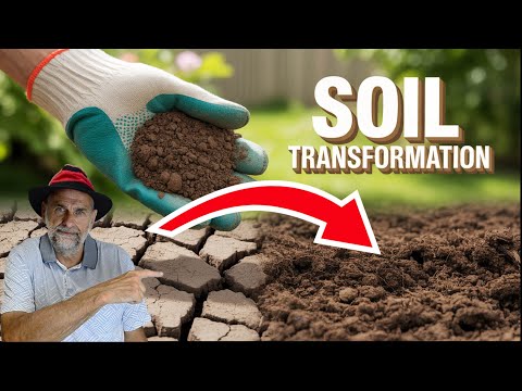How to Fix Your Heavy Clay Soil (Garden Hacks That Actually Work )
