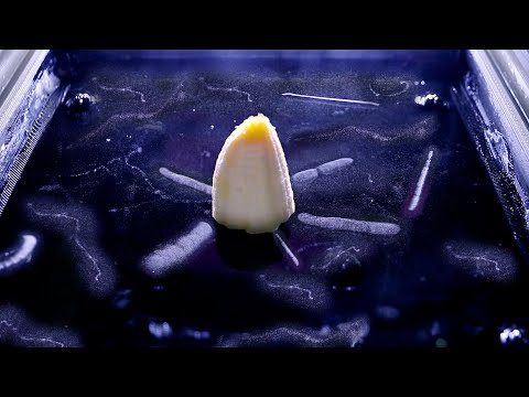 I Built Nobel Prize Machine To See Radioactivity