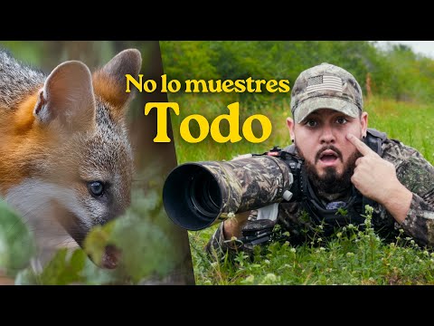 El Secreto para tomar Fotos de Fauna más PODEROSAS 💪📸
