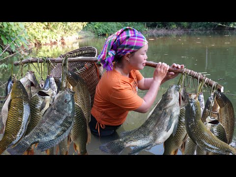 Harvesting Large Quantities of Fish, Marinating and Smoking Them to Sell at Market.