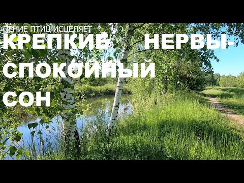 СОЛОВЕЙ. ПЕСНИ ГАРМОНИИ,СОЗДАННЫЕ ПТИЦАМИ ОЗДОРАВЛИВАЮТ НЕРВНУЮ СИСТЕМУ,СОЗДАЮТ ДУШЕВНЫЙ ПОКОЙ.