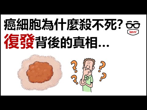 癌細胞為什麼殺不死？醫師揭開「復發」背後的真相！