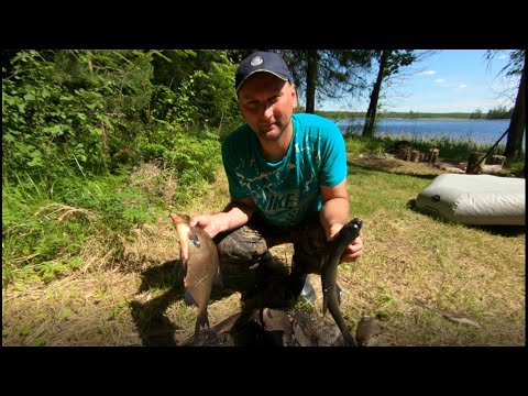 ЛЕЩ НА РЕЗИНКУ. РЫБАЛКА КАК В ДЕТСТВЕ, ТВЕРСКАЯ ОБЛАСТЬ.